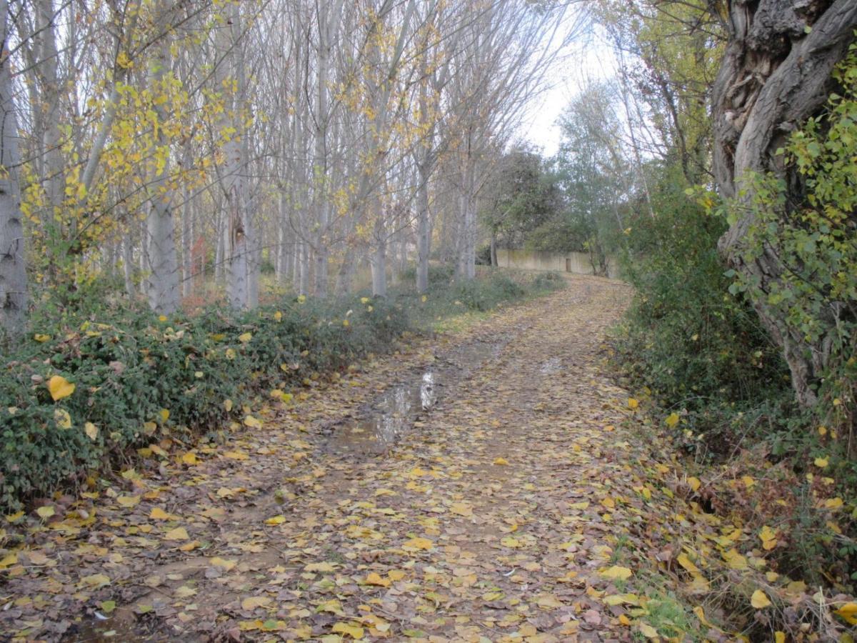 Boleta A 5 Minutos De Leon, Casa Con Jardin Villa San Andrés del Rabanedo Buitenkant foto