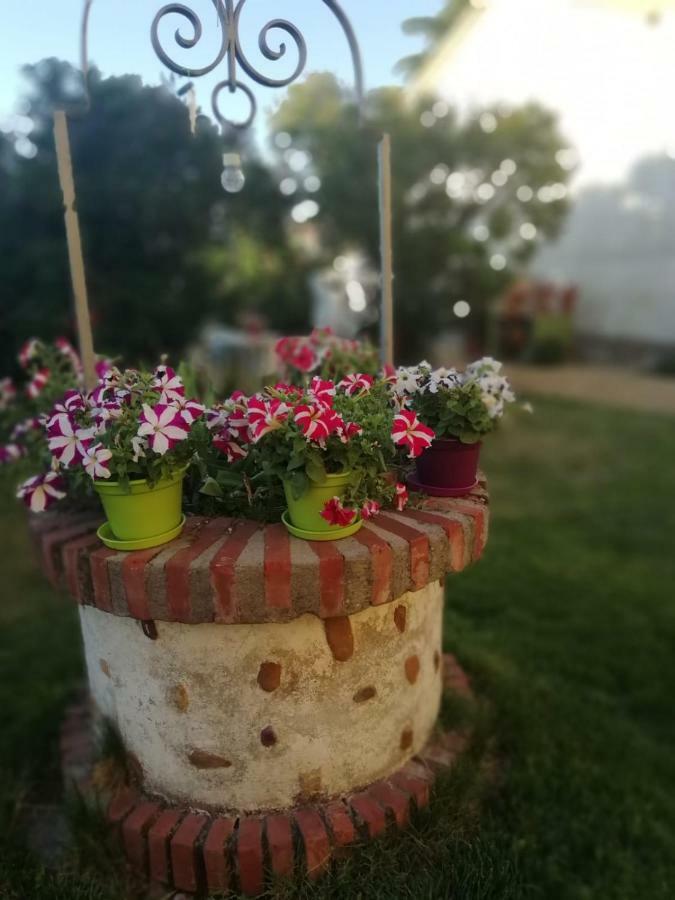 Boleta A 5 Minutos De Leon, Casa Con Jardin Villa San Andrés del Rabanedo Buitenkant foto